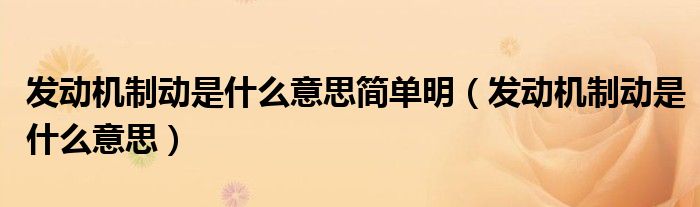 发动机制动是什么意思简单明（发动机制动是什么意思）