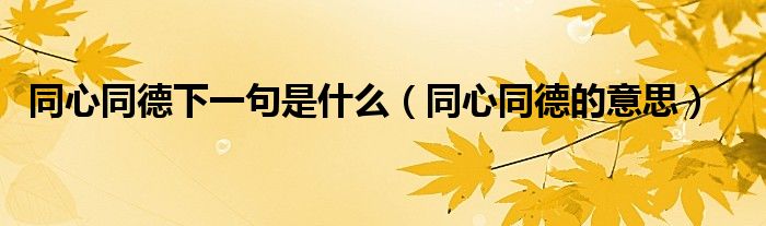 同心同德下一句是什么（同心同德的意思）