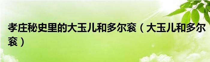 孝庄秘史里的大玉儿和多尔衮（大玉儿和多尔衮）