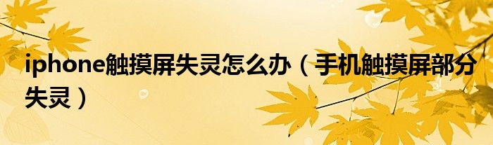 iphone触摸屏失灵怎么办（手机触摸屏部分失灵）