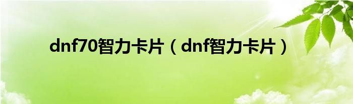 dnf70智力卡片（dnf智力卡片）