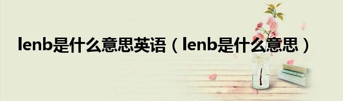 lenb是什么意思英语（lenb是什么意思）