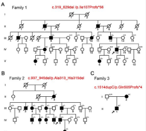 在三个局灶性癫痫家族中发现的新型NPRL3突变的功能特征