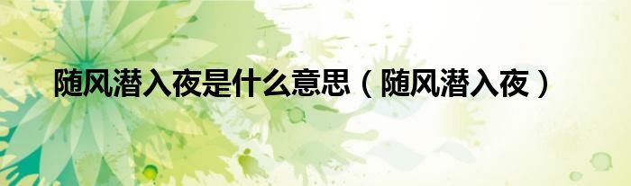 随风潜入夜是什么意思（随风潜入夜）