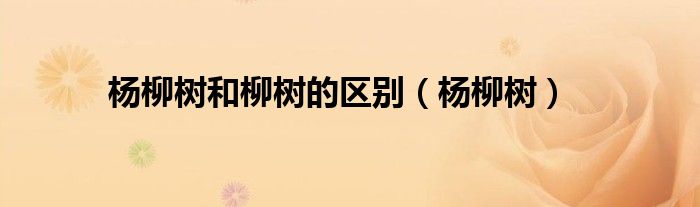 杨柳树和柳树的区别（杨柳树）