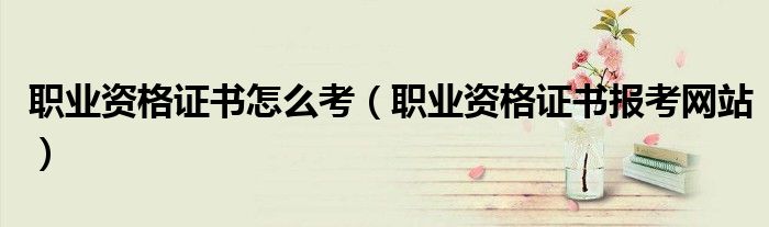 职业资格证书怎么考（职业资格证书报考网站）