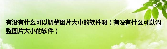 有没有什么可以调整图片大小的软件啊（有没有什么可以调整图片大小的软件）