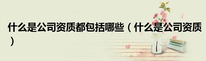 什么是公司资质都包括哪些（什么是公司资质）
