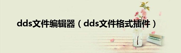 dds文件编辑器（dds文件格式插件）