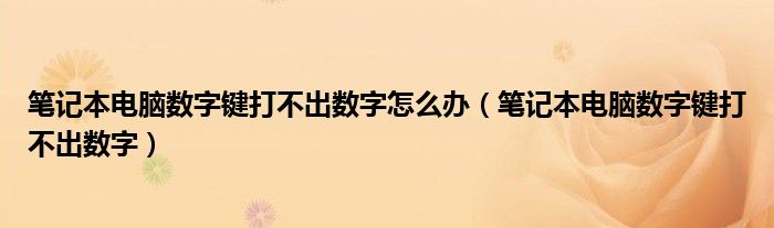 笔记本电脑数字键打不出数字怎么办（笔记本电脑数字键打不出数字）