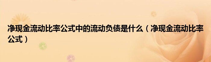 净现金流动比率公式中的流动负债是什么（净现金流动比率公式）