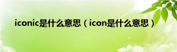 iconic是什么意思（icon是什么意思）