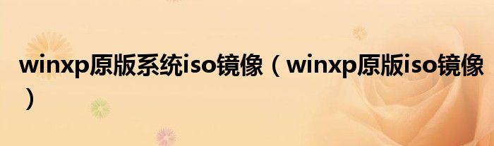 winxp原版系统iso镜像（winxp原版iso镜像）