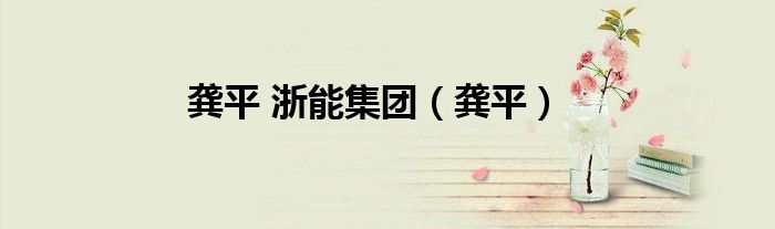 龚平 浙能集团（龚平）