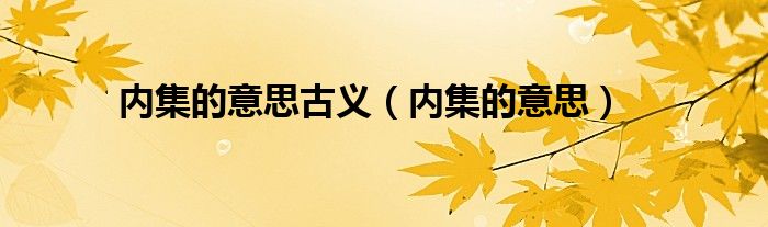 内集的意思古义（内集的意思）