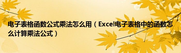 电子表格函数公式乘法怎么用（Excel电子表格中的函数怎么计算乘法公式）