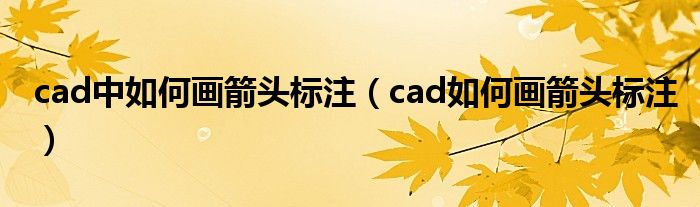 cad中如何画箭头标注（cad如何画箭头标注）
