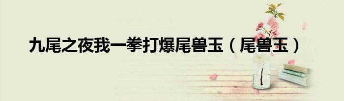 九尾之夜我一拳打爆尾兽玉（尾兽玉）