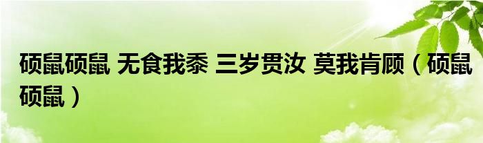 硕鼠硕鼠 无食我黍 三岁贯汝 莫我肯顾（硕鼠硕鼠）