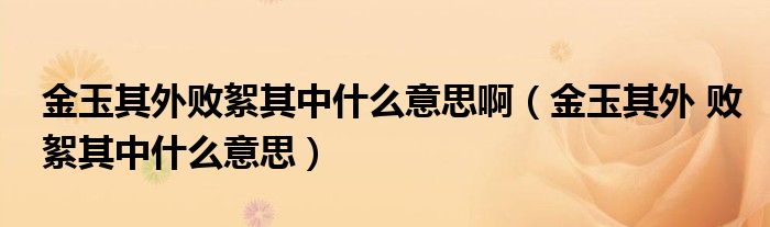金玉其外败絮其中什么意思啊（金玉其外 败絮其中什么意思）