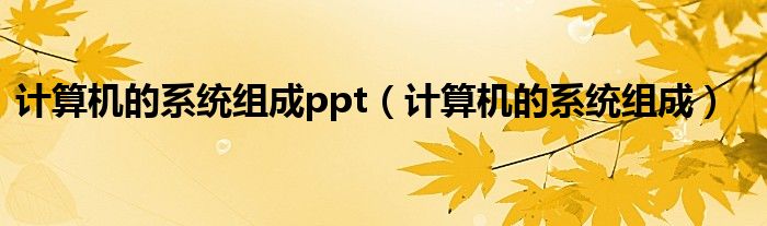 计算机的系统组成ppt（计算机的系统组成）