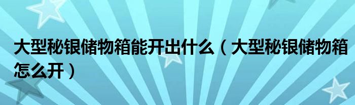 大型秘银储物箱能开出什么（大型秘银储物箱怎么开）