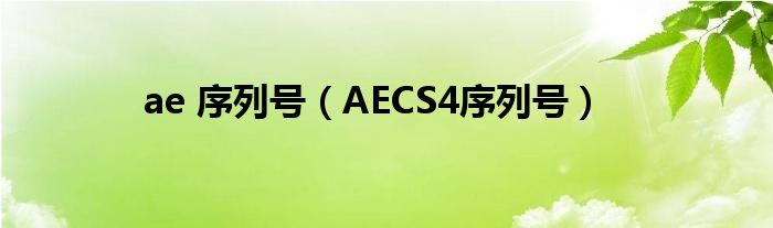 ae 序列号（AECS4序列号）