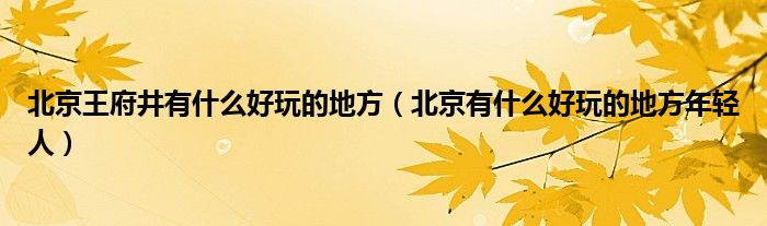 北京王府井有什么好玩的地方（北京有什么好玩的地方年轻人）