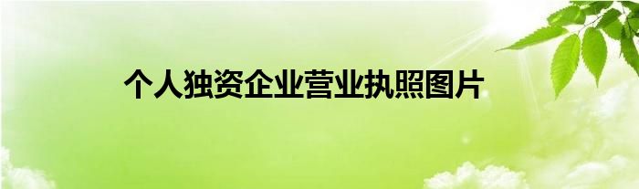 个人独资企业营业执照图片