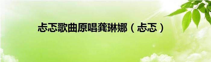 忐忑歌曲原唱龚琳娜（忐忑）