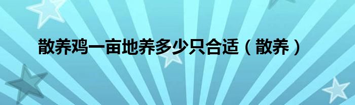 散养鸡一亩地养多少只合适（散养）