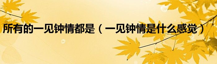 所有的一见钟情都是（一见钟情是什么感觉）