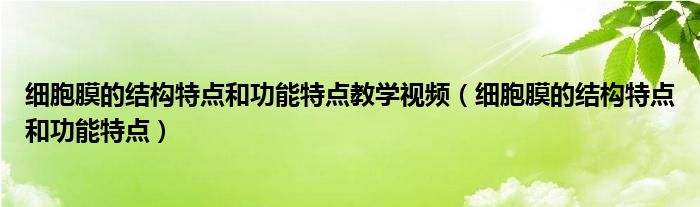 细胞膜的结构特点和功能特点教学视频（细胞膜的结构特点和功能特点）
