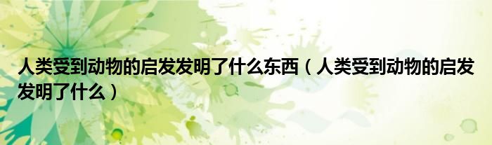 人类受到动物的启发发明了什么东西（人类受到动物的启发发明了什么）