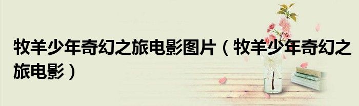 牧羊少年奇幻之旅电影图片（牧羊少年奇幻之旅电影）