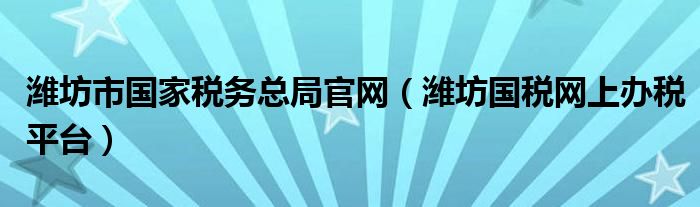 潍坊市国家税务总局官网（潍坊国税网上办税平台）