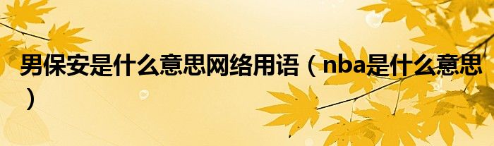 男保安是什么意思网络用语（nba是什么意思）