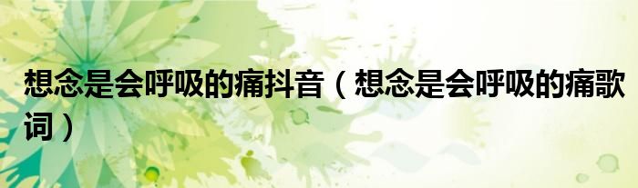 想念是会呼吸的痛抖音（想念是会呼吸的痛歌词）