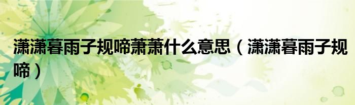 潇潇暮雨子规啼萧萧什么意思（潇潇暮雨子规啼）