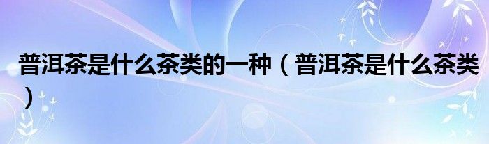 普洱茶是什么茶类的一种（普洱茶是什么茶类）