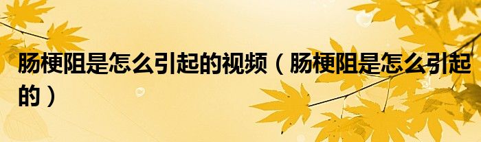 肠梗阻是怎么引起的视频（肠梗阻是怎么引起的）