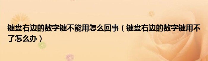 键盘右边的数字键不能用怎么回事（键盘右边的数字键用不了怎么办）