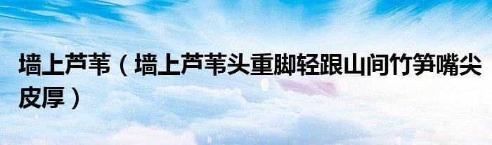 墙上芦苇（墙上芦苇头重脚轻跟山间竹笋嘴尖皮厚）