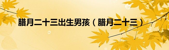 腊月二十三出生男孩（腊月二十三）