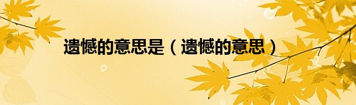 遗憾的意思是（遗憾的意思）