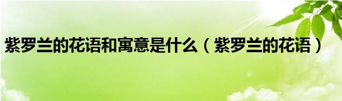 紫罗兰的花语和寓意是什么（紫罗兰的花语）