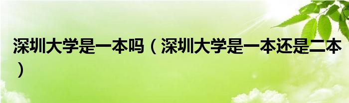 深圳大学是一本吗（深圳大学是一本还是二本）