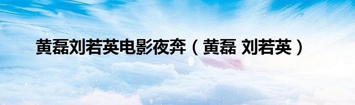 黄磊刘若英电影夜奔（黄磊 刘若英）