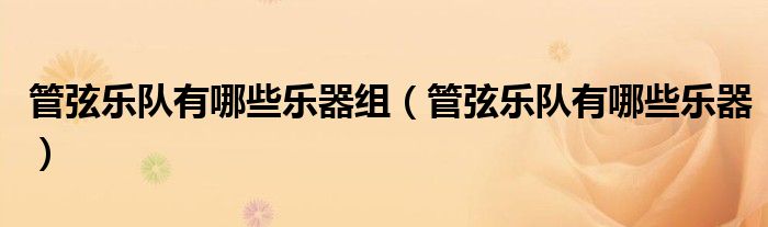 管弦乐队有哪些乐器组（管弦乐队有哪些乐器）