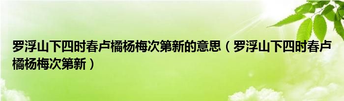罗浮山下四时春卢橘杨梅次第新的意思（罗浮山下四时春卢橘杨梅次第新）